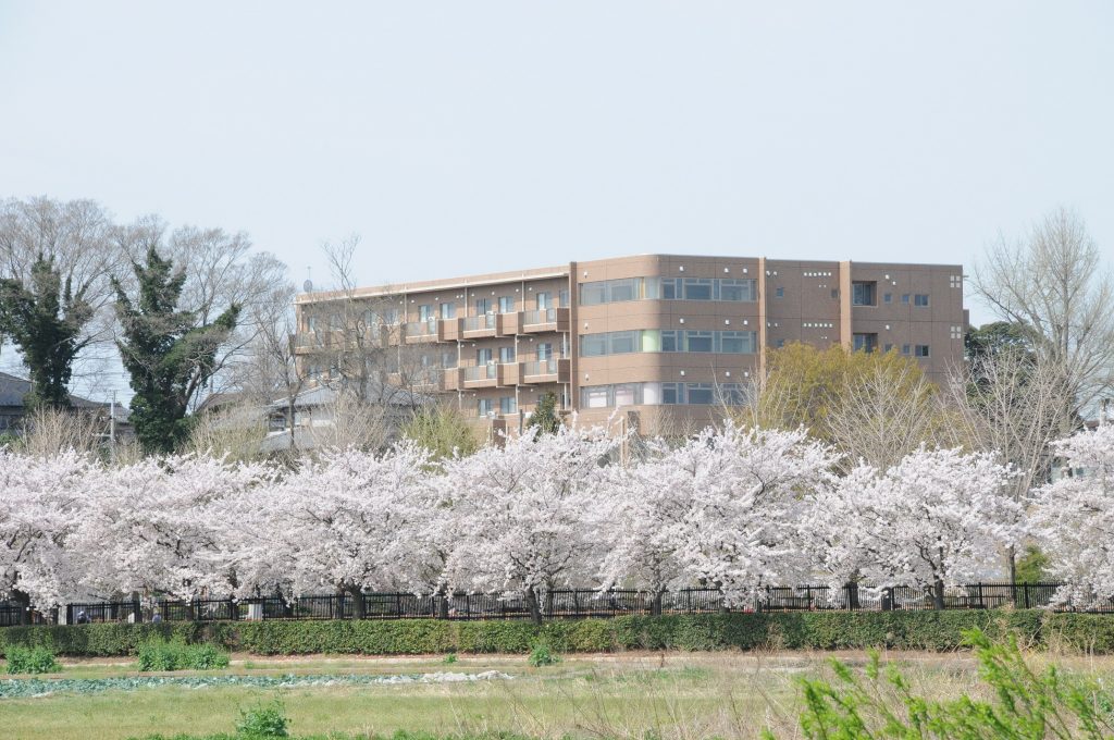 深谷市総合福祉センター止揚の杜